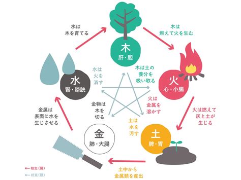 旺水|四柱推命‐旺火、旺水の特徴と生き方を解説